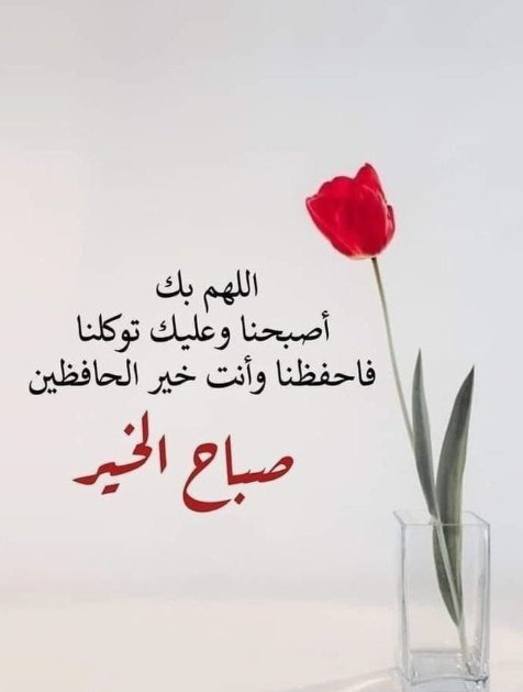 ابو مالك الجهني tweet media
