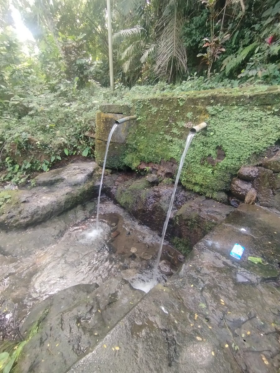 wy putra tweet media