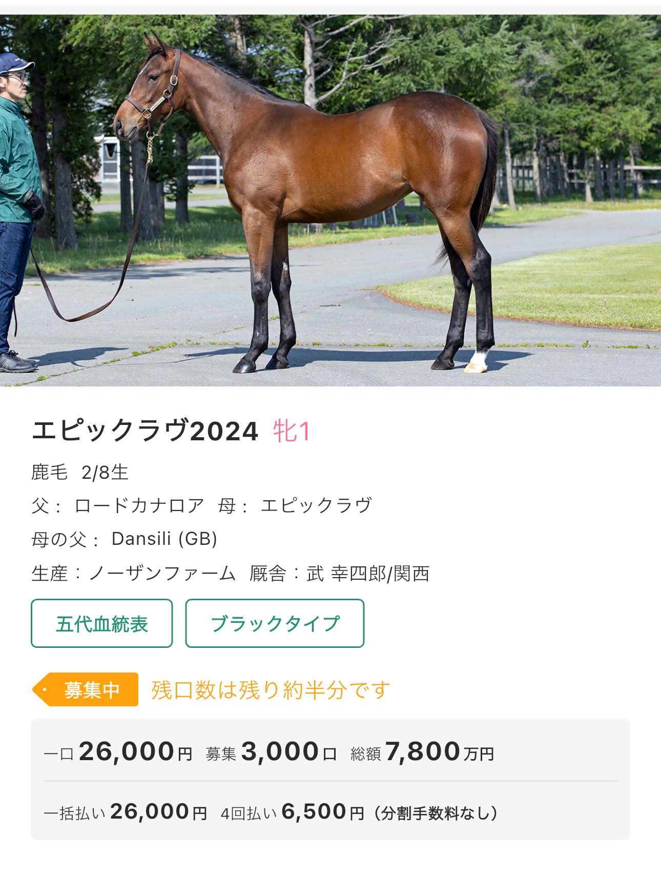 Mina様▪️専用ページ 楽天市場】【15%OFF☆19,800→16,830円】ヘッドスパ 電動頭皮