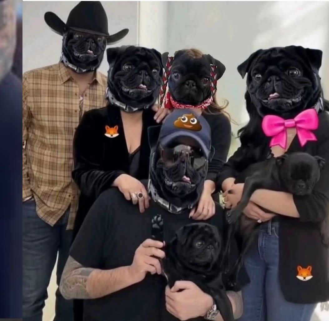 morteladymoon's tweet photo. @AngelaAguilar__ Siguen ladrando los perros , es señal que voy avanzando!! Aaaaaaayyyy noooo es cierto!!! Esta raza ni ladra ni muerde!!! Solo anda dando lastima ajena!!!! Upppsssss!!!! https://t.co/apO0g2ZQLr