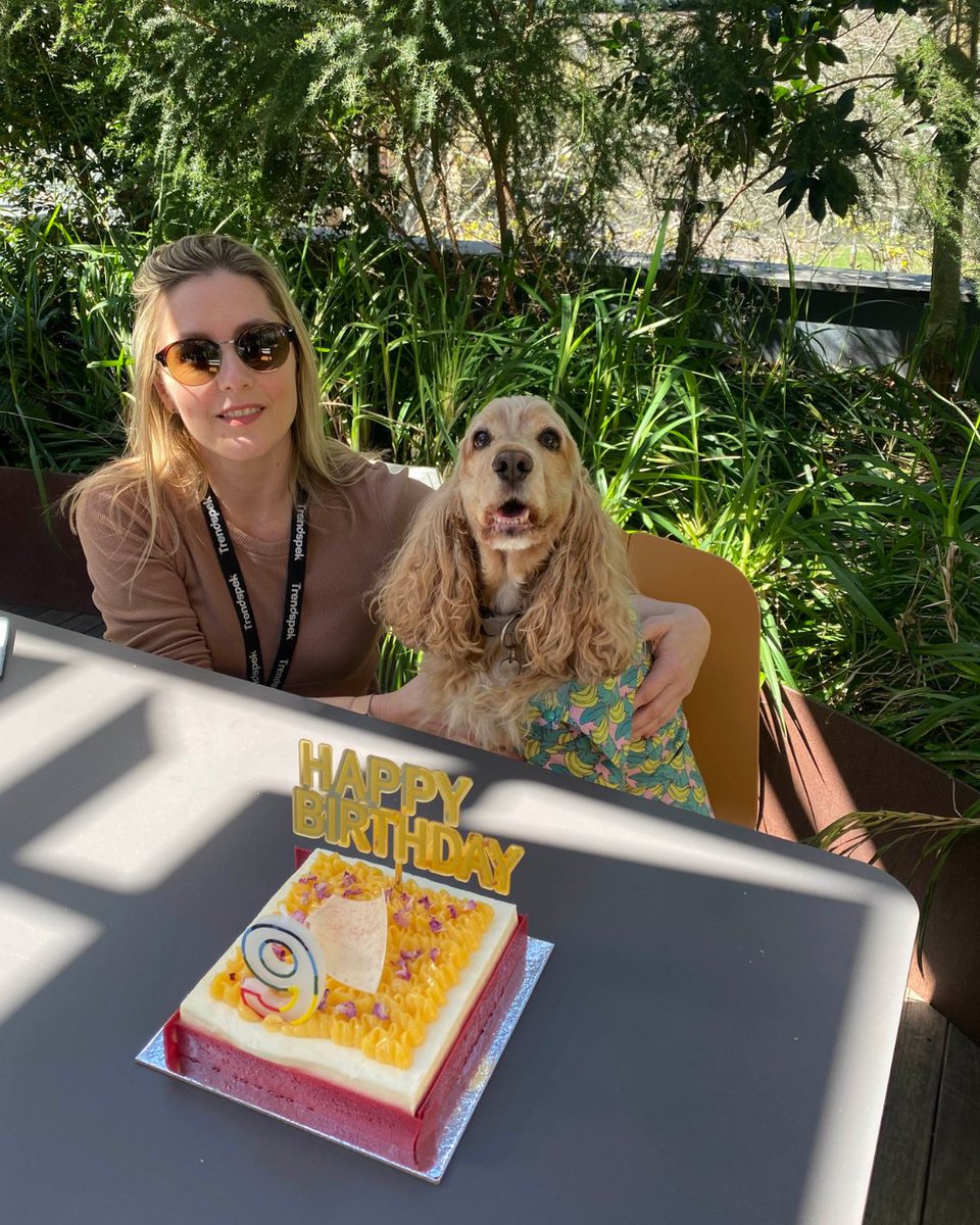 trendspek's tweet photo. Charlotte turns 9 today! 🎉
Our Chief Happiness Officer keeps wellbeing front of mind at Trendspek, with plenty of smiles (and treats) in the office. https://t.co/E5vRXAhJ0t