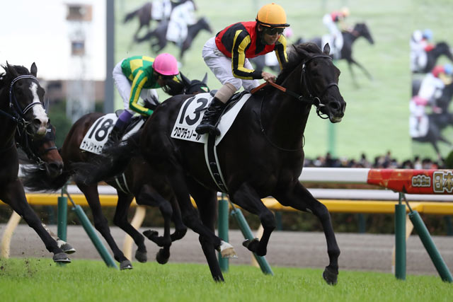 JRA VAN限定 エフフォーリア レーシングパネル JRA-VAN公式