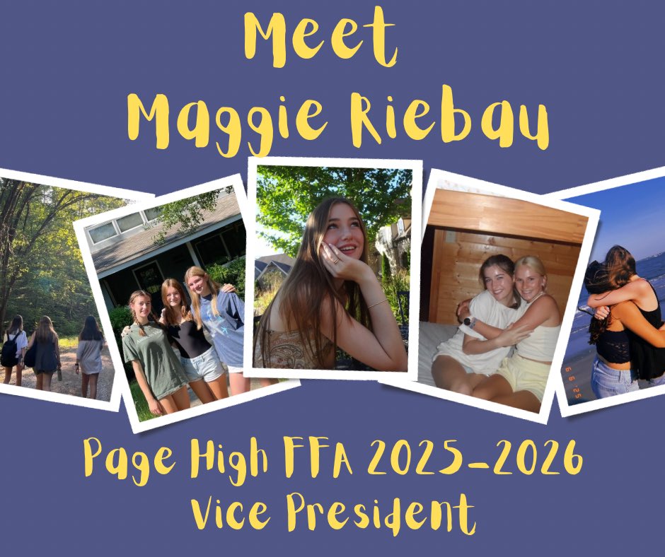 Page High FFA tweet media