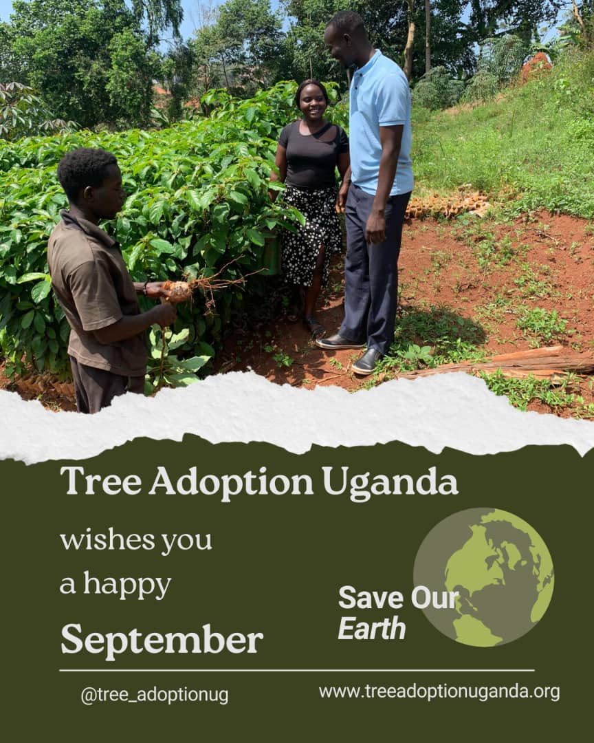 September, a new chapter for our planet!  Let's restore ecosystems and  plant more trees.
 Join Tree Adoption Uganda in making a difference.  Happy new month 
#SeptemberForThePlanet #EcosystemRestoration #TreeAdoptionUganda"