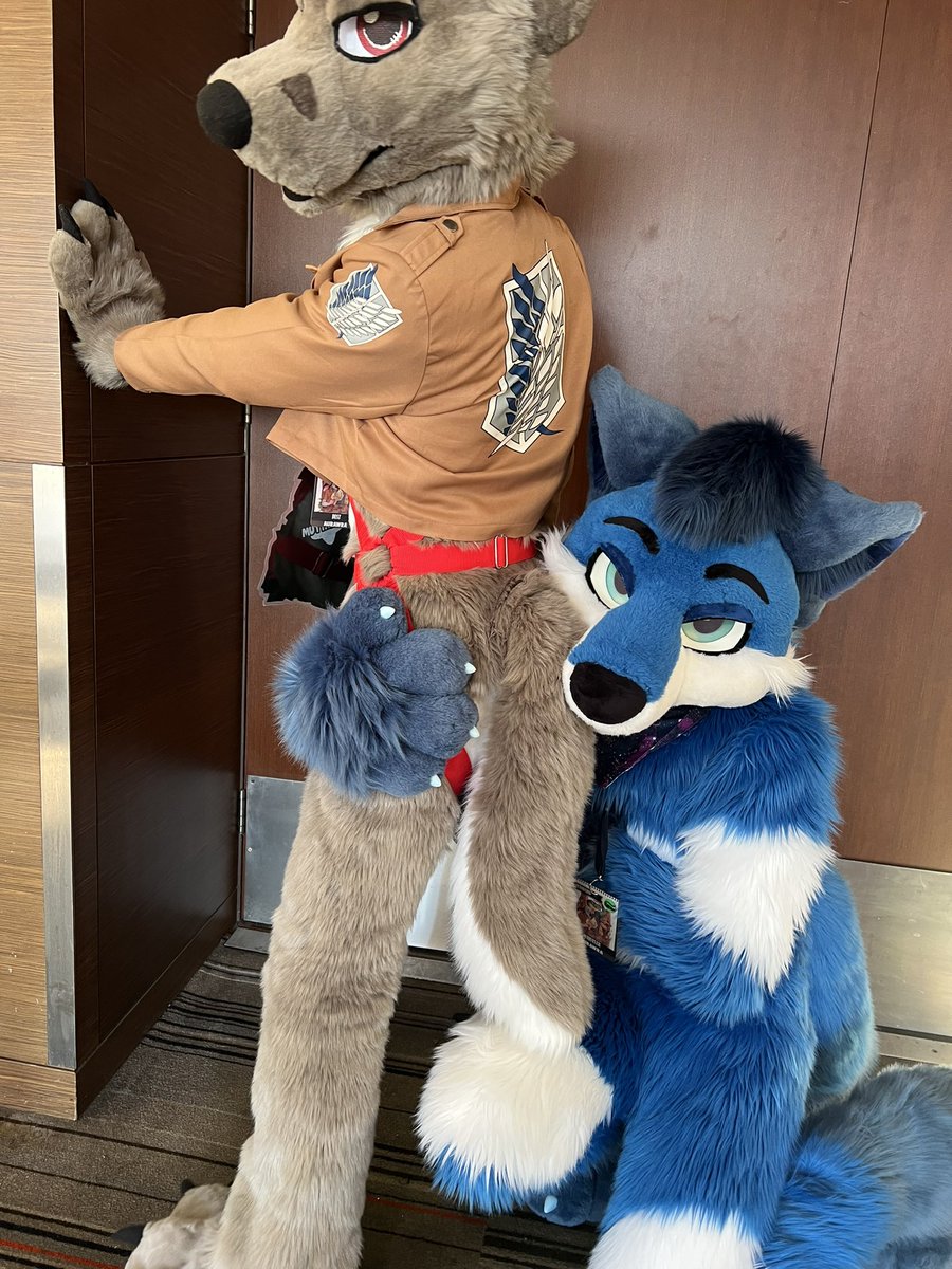 deluxecanine's tweet photo. Love it when cuties praise the ol’fox butt ❤️🍑

@BlueFoxWhistler https://t.co/HxZwPcGezg