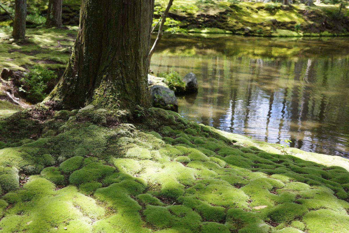 Hajime Ito tweet media