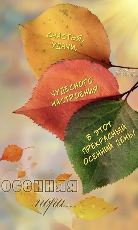 <a href="/daniel_2509/">🌹ЗС🌹</a> Спасибо большое! 🌺

Доброе утро сентября! 
Счастливой осени, нового начала и новых надежд! 🍂☀️🍂💕