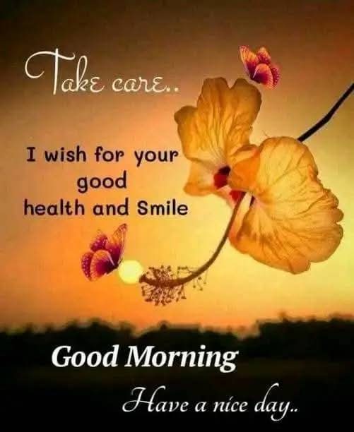 🌞Good🙏 morning🌞