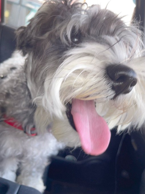 また病院のお世話になるおじいちゃん 