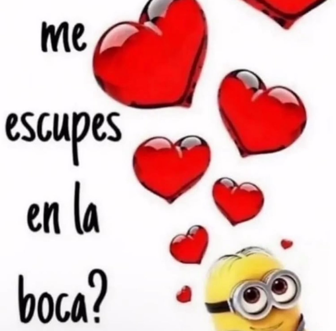 _onerolita's tweet image. 