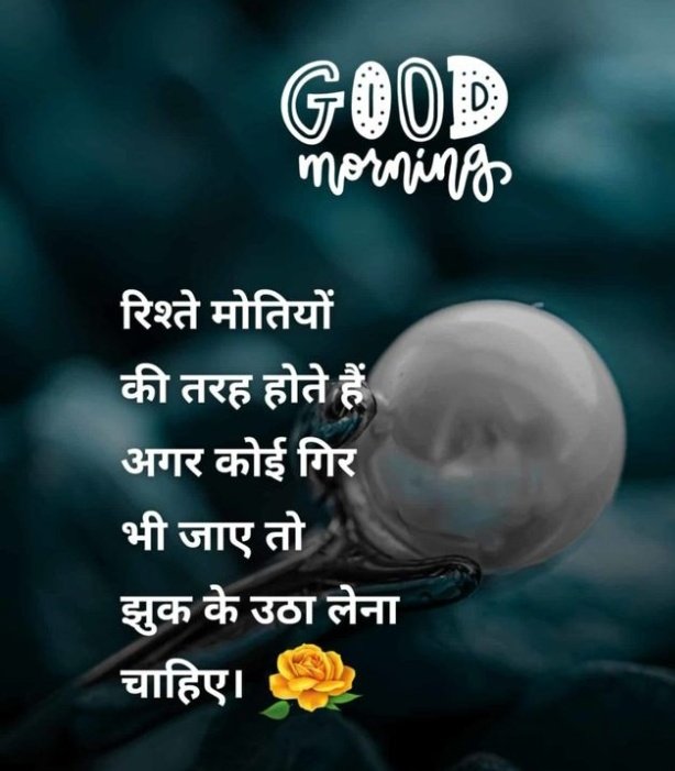 Jitendra Meghwal (@jitendr_meghwal) on Twitter photo ~~~~~~~~~सुप्रभात,,,,,,,,,,,,,,,,,,,,,
रिश्ते मोतियों की तरह होते हैं अगर कोई गिर भी जाए तो झुक के उठा लेना चाहिए,,,,,,,!! 
Good 😊 Morning 🌞 X Friends ~~~~~~~~~सुप्रभात,,,,,,,,,,,,,,,,,,,,,
रिश्ते मोतियों की तरह होते हैं अगर कोई गिर भी जाए तो झुक के उठा लेना चाहिए,,,,,,,!! 
Good 😊 Morning 🌞 X Friends