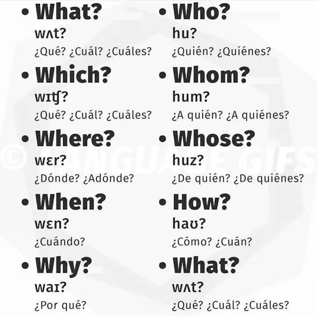 What?

Who?

Which?

Whom?

Where?

Whose?

When?

How?

Why?

What?