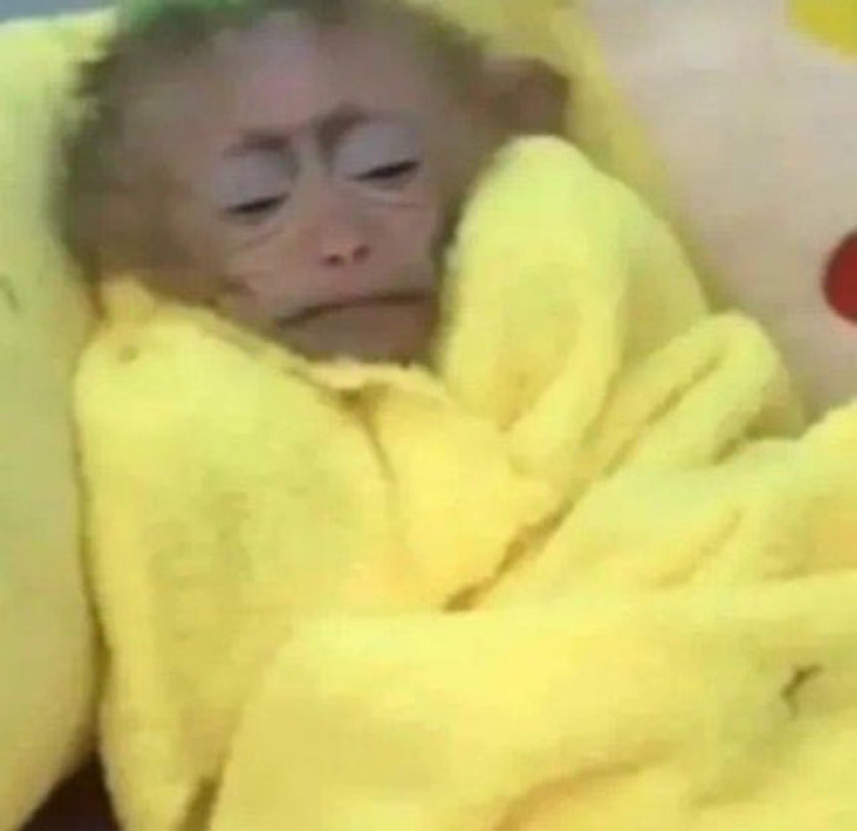 J1AK50N's tweet image. acho engraçado q mais da metade das minhas listas do letter são tudo clonada kkkkkk #preguiça