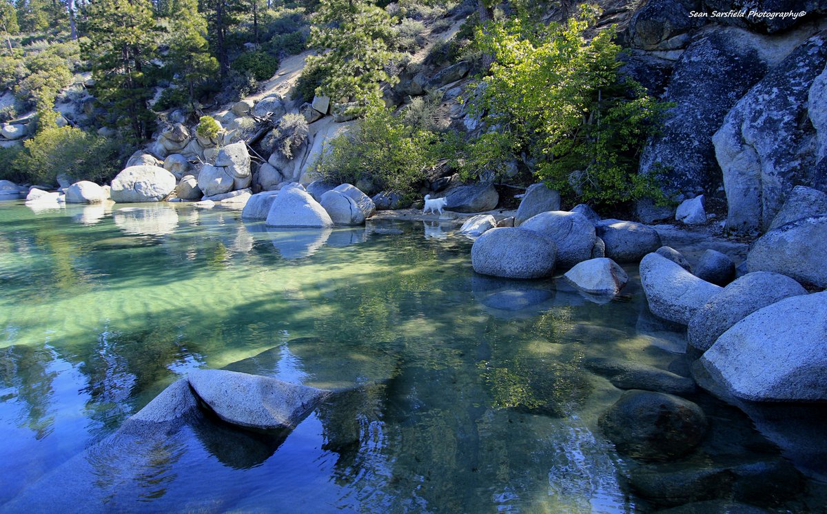 PhotoSarsfield's tweet photo. Enter The Lake Tahoe Gallery
https://t.co/yoYwIBx8Uc
Metal Prints Canvas Wraps Puzzles
Sweatshirts Tote Bags Towels Phone
Cases Yoga Mats TShirts
#Nature #Wolves #Dogs #Sierra #Hiking #Photography #Soul #Travel #Painting #Portraits #Craft #Art #WaterProtector https://t.co/FjwiwGNyNG