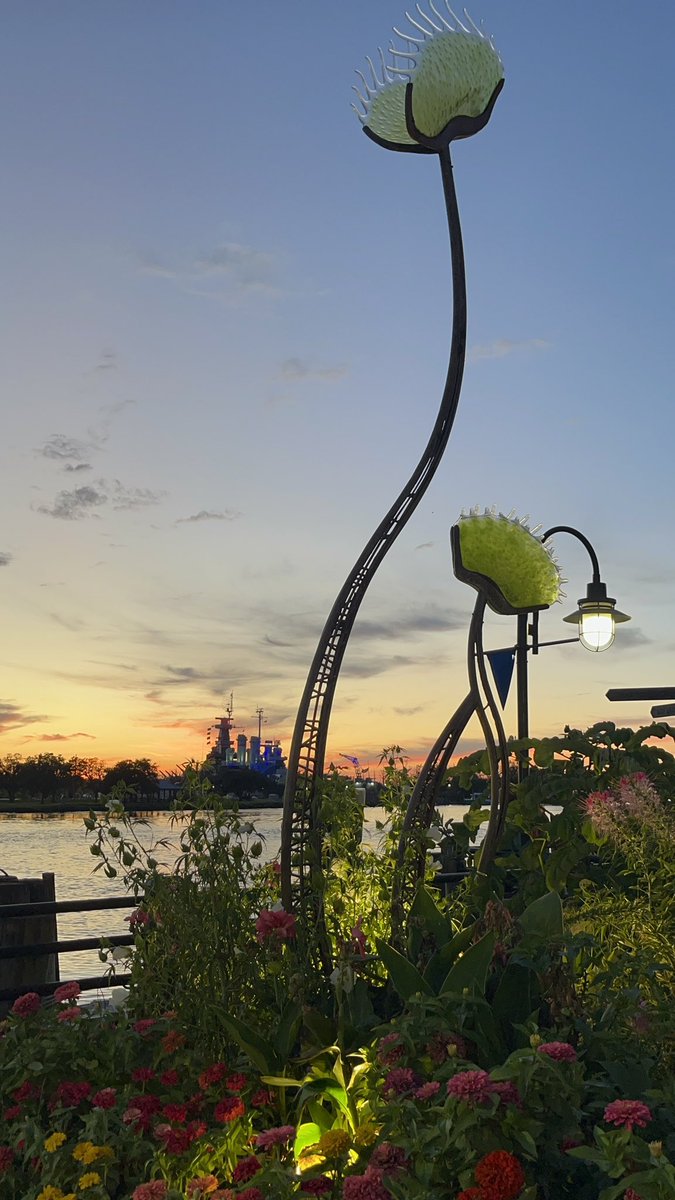 Views - unmatched. Here’s to you, <a href="/CityofWilm/">City of Wilmington, NC</a>