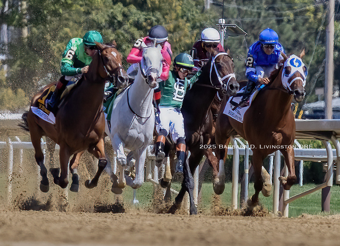 Remarkable to read on <a href="/DRFGrening/">David Grening</a> 's Twitter feed that Irad Ortiz has been cleared to ride after his fall from Mindframe in today's Jockey Club Gold Cup. 

Per Dave's post: "We'll see how he feels in the morning," Rushing texted (about Irad).