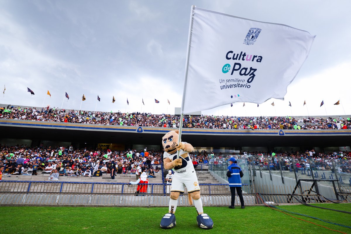 La Cultura de Paz implica un conjunto de valores , actitudes y acciones para fomentar la convivencia armónica entre individuos, comunidades y naciones.

Recuerden que nuestra Universidad Nacional organiza la Semana de Cultura de Paz que se realizará los días 10,11 y 12 de