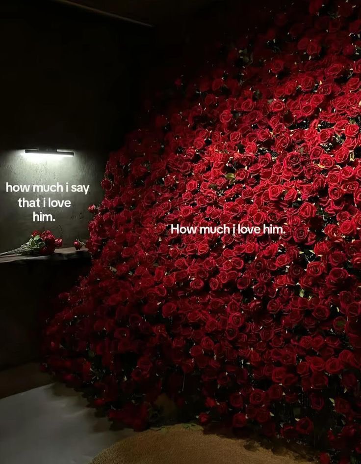 ♡ (@astralbaes) on Twitter photo 