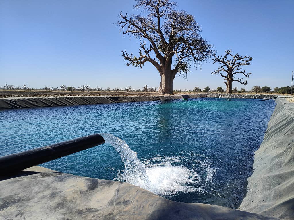 ousseynouly22's tweet image. “Un bassin solide pour vos projets agricoles 🌱 ? Faites confiance à LYTECH, le spécialiste des géomembranes durables. 💧 #Agriculture #LYTECH #Innovation”