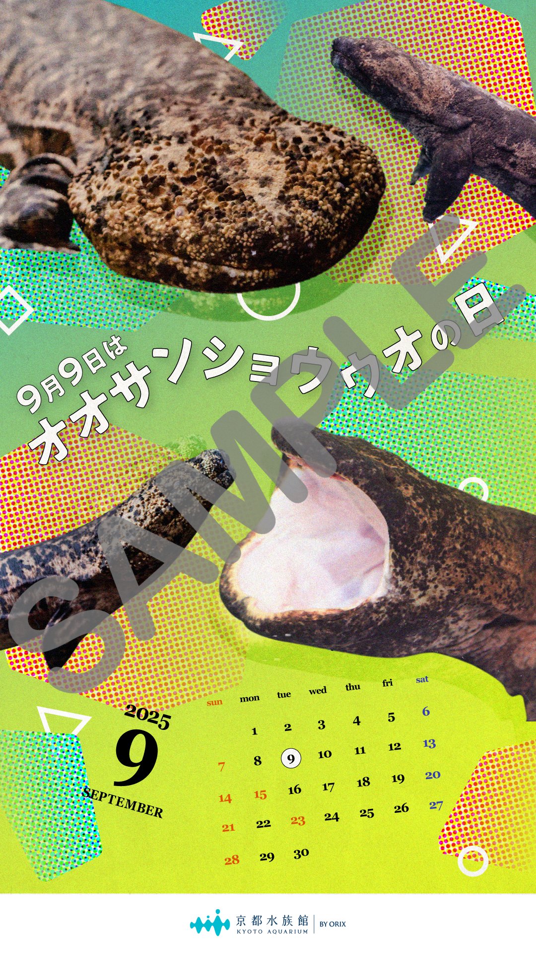 オオサンショウウオ様 リクエスト 4点 まとめ商品 オオサンショウウオS(コットンクラウディシリーズ) | 世界淡水魚