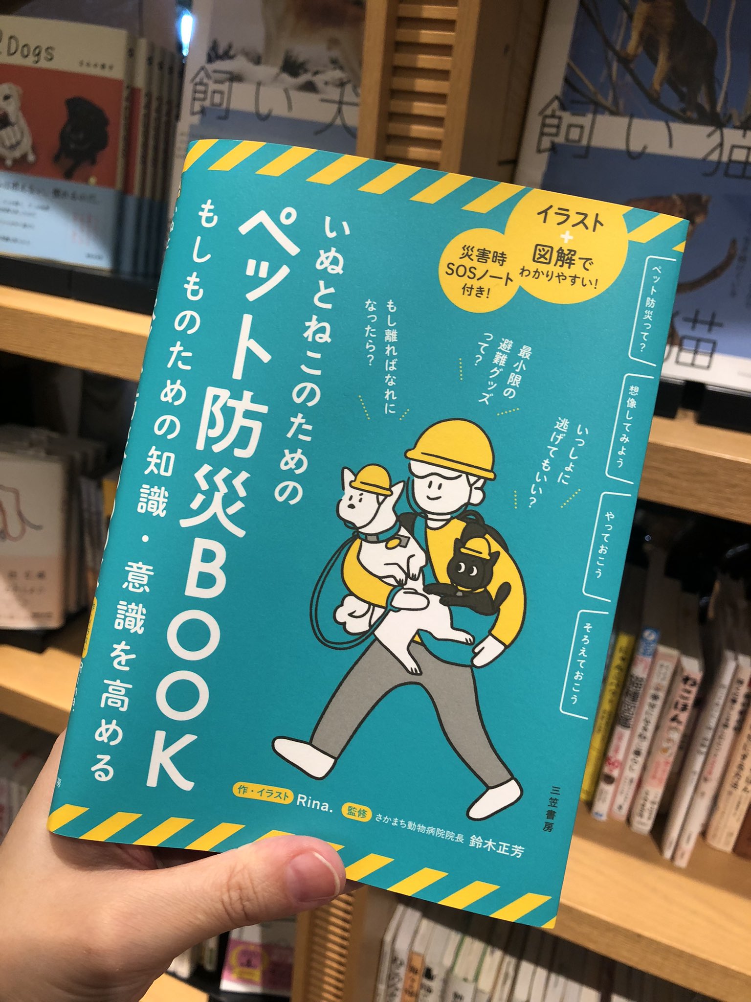 文学入門 阿部知二著 市民文庫　古書 文学入門 (1951年) (市民文庫〈第2〉) | 阿部 知二 |本 | 通販