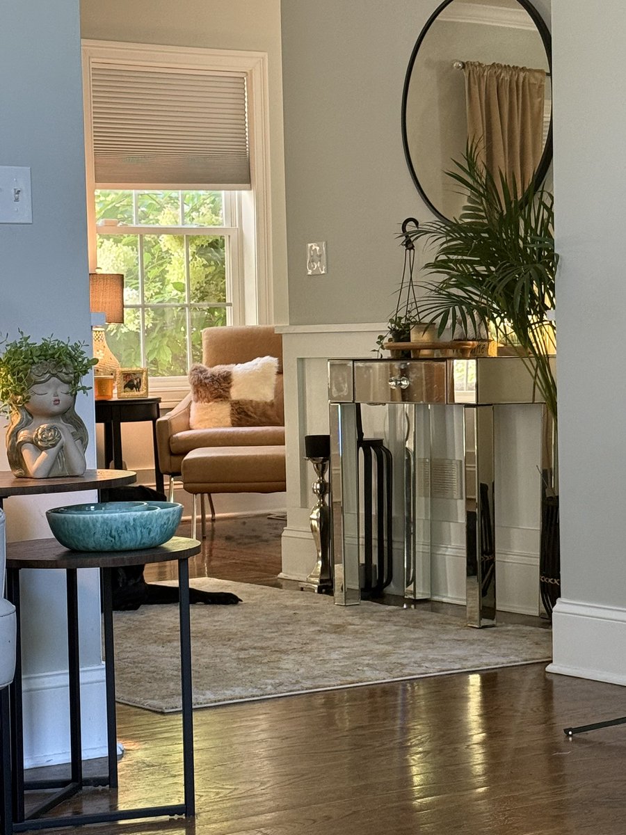 Stepanka Matto tweet media