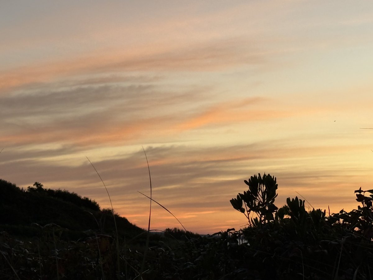 mmuhlfelder's tweet image. Back to my life on #capecodbay and an even more #calmocean