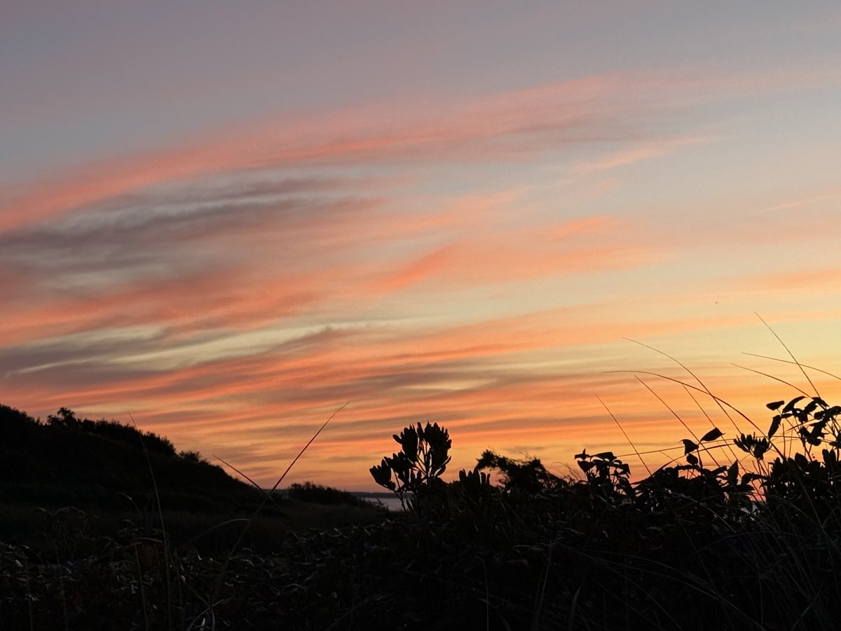 mmuhlfelder's tweet image. Back to my life on #capecodbay and an even more #calmocean