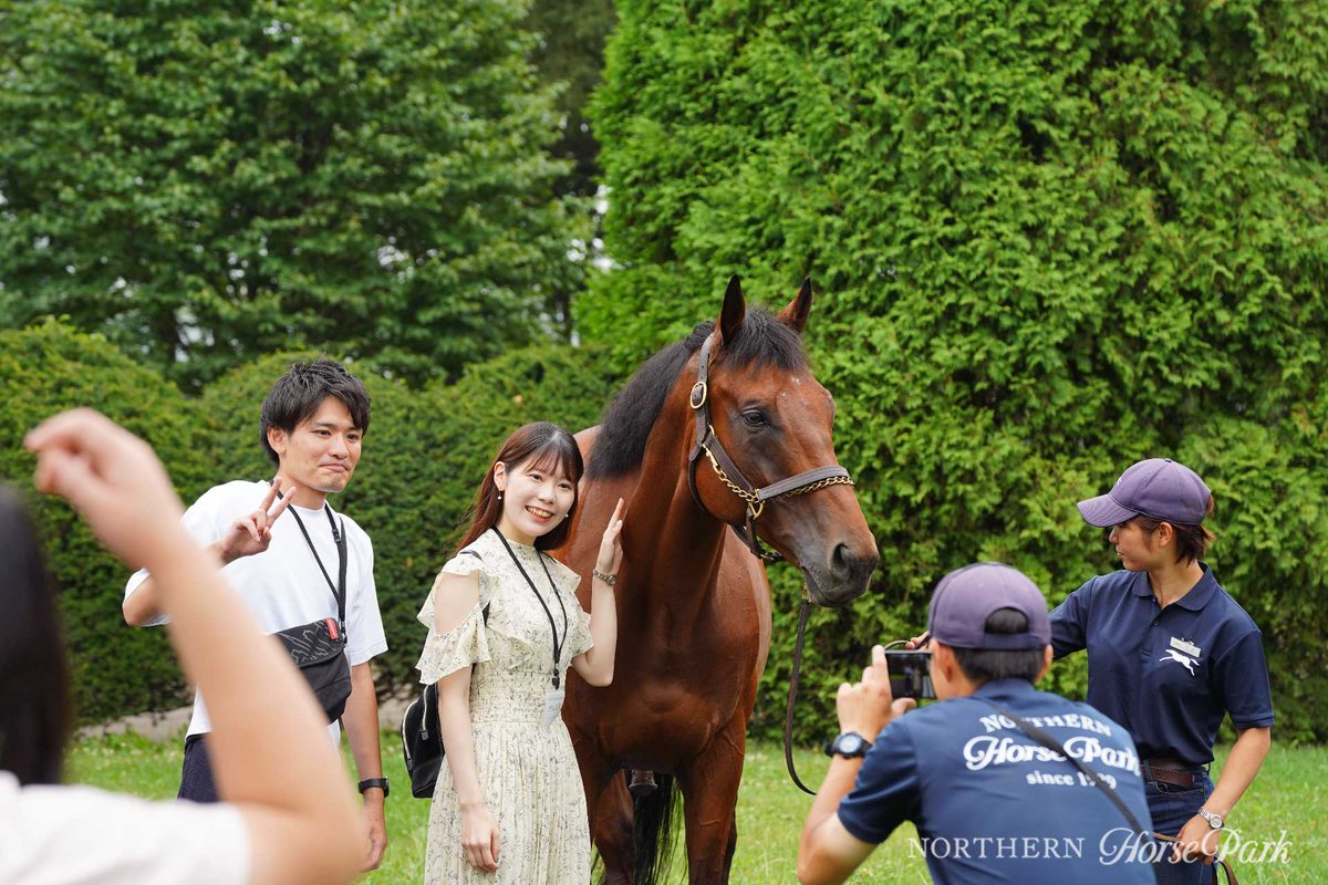ノーザンホースパーク　モバガチャ　コンプリートセット　サラブレッド　馬　ウマ ノーザンホースパークモバガチャコンプリートセットサラブレッド