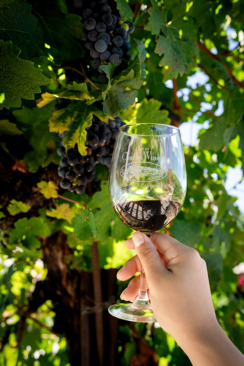 RodasStudios's tweet photo. Inn at Churon Winery! #Temecula https://t.co/srPVjf4R4p