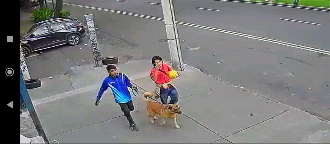 Para los que sean de CDMX. Por favor ayuden a encontrar a el perrito de un amigo.
Responde al nombre de "Cachi", fue visto por última vez en Calz del hueso, Ex-ejido Santa Úrsula Coapa.
La última imagen es de los ladrones.
Cualquier información es valiosa, gracias. Se aprecia RT