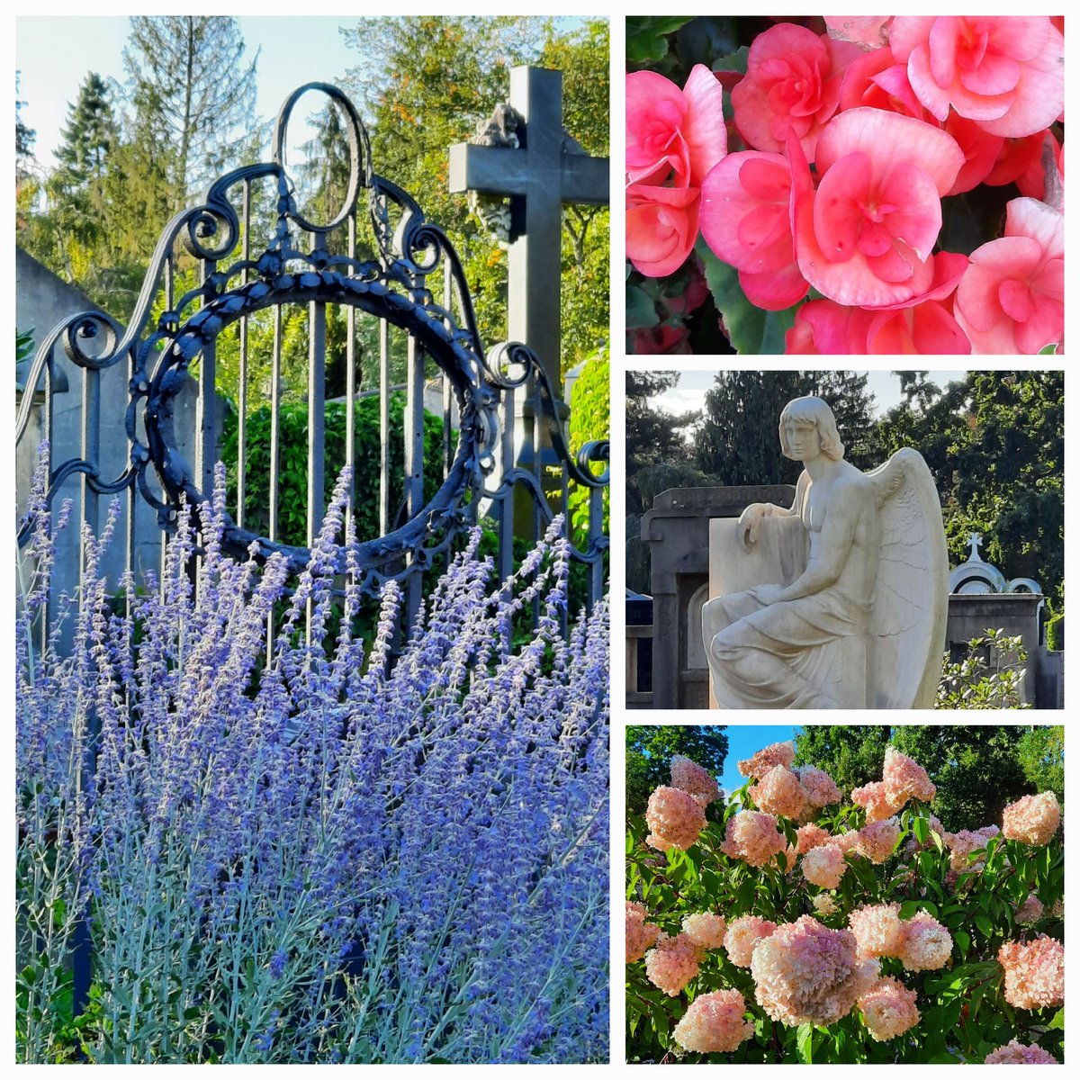 "Die Schönheit ist die Lebensnahrung der Seele."
Bettina von Armin