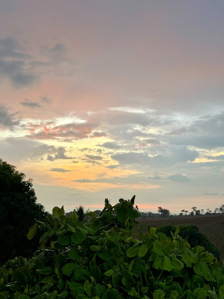 Gracias Agosto! 🙏🏻