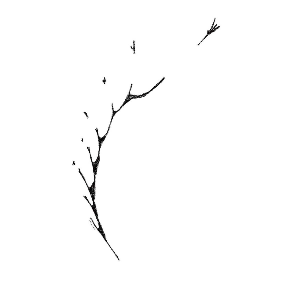 #completethehaiga 114 #prompt #haiga #haiku #senryu #tanka