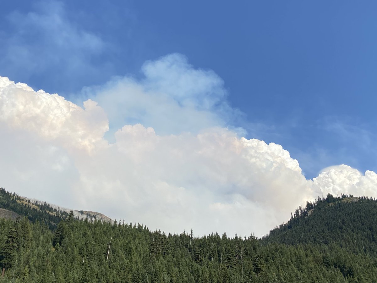 JanieIAllen's tweet photo. We’re up camping at Crystal Mountain watching this plume travel. Ash was falling on us. Wondering if it’s the Wildcat fire? @KING5Seattle @fox13seattle @KSeattleWeather https://t.co/5E04s3ytp8