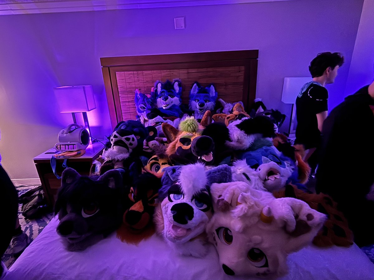 too many creatures last night….