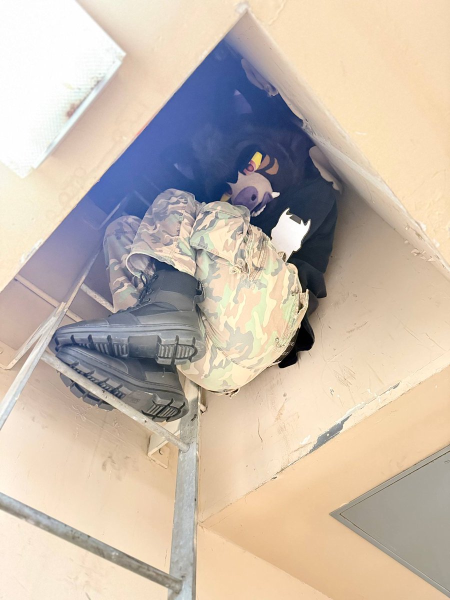 PARK 🔜 FWA tweet media