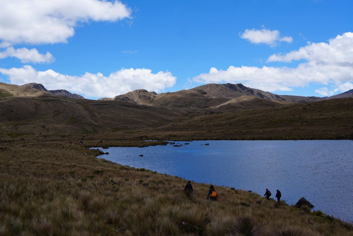 💧 El agua nos une y Kimsacocha nos convoca.
Con la visión del alcalde Cristian Zamora, realizamos la primera Ruta Ecoturística en Estrellacocha, promoviendo el cuidado del páramo y un turismo sostenible para Cuenca. 🌿

#CuencaInspira #Kimsacocha #TurismoSostenible
