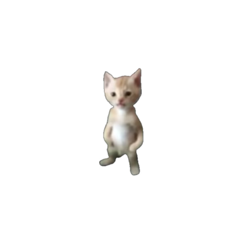 imturanlo's tweet photo. @aptrikx https://t.co/2gqEhqSjG0