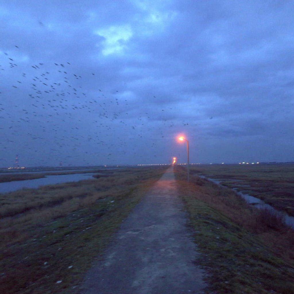 Liminal Space (@liminal_s) on Twitter photo 