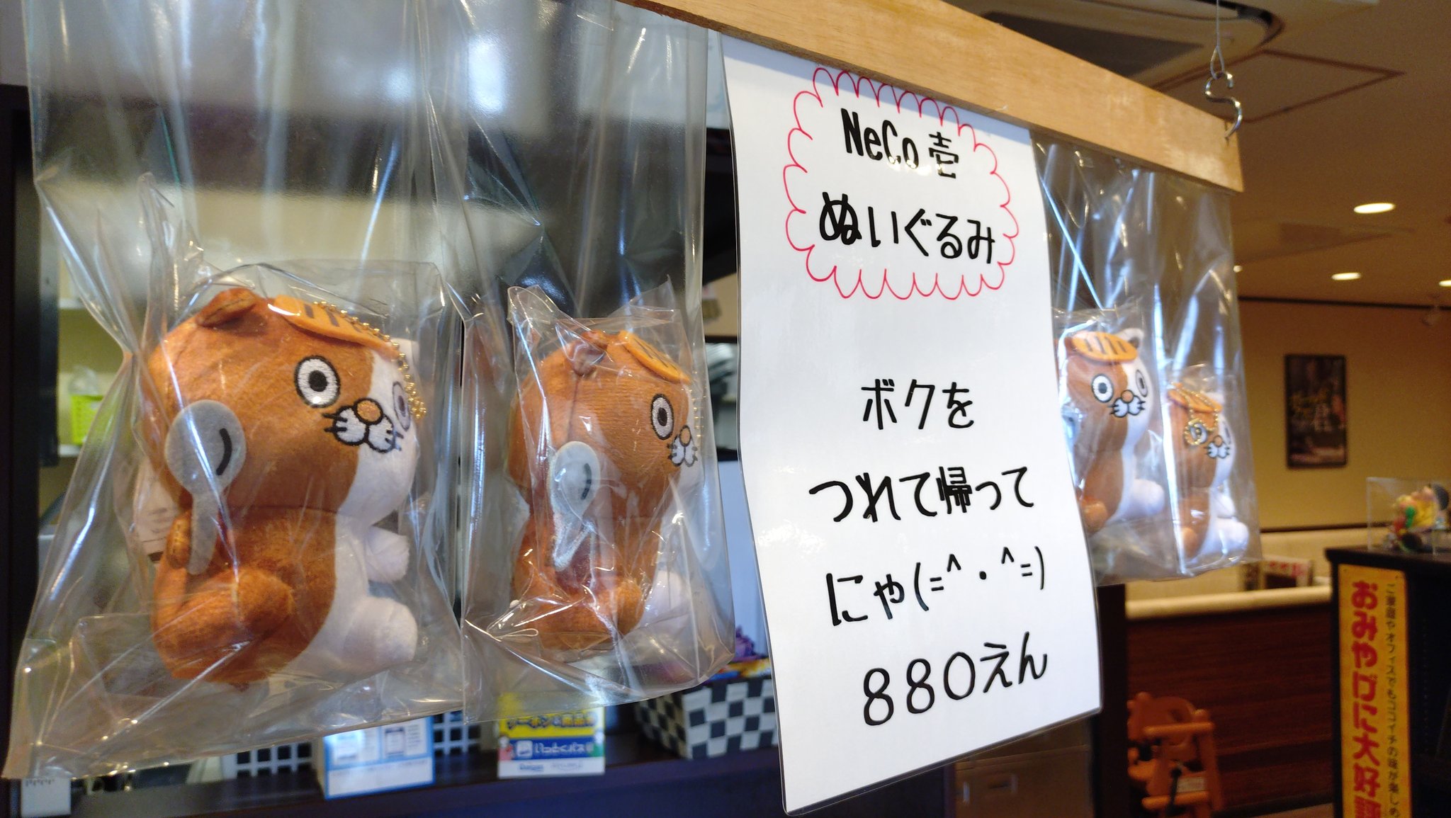 NeCo壱オリジナルぬいぐるみ CoCoICHI 2024 NeCo壱 - ネコイチ｜カレーハウスCoCo壱番屋