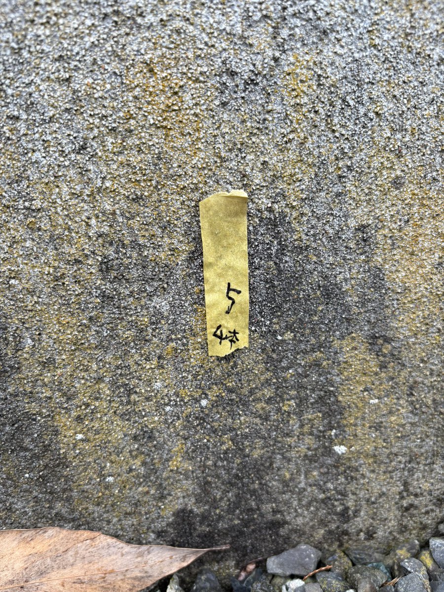 OtanoshikeG's tweet photo. すみません。
わかるかたいたら教えて下さい。ギャラリーの基礎部分に、こんな文字の書いたマスキングテープが。前からあったのかなぁ🧐
なにか泥棒さんのマークじゃなきゃいいなと思って😅 https://t.co/S9EmL2No6b