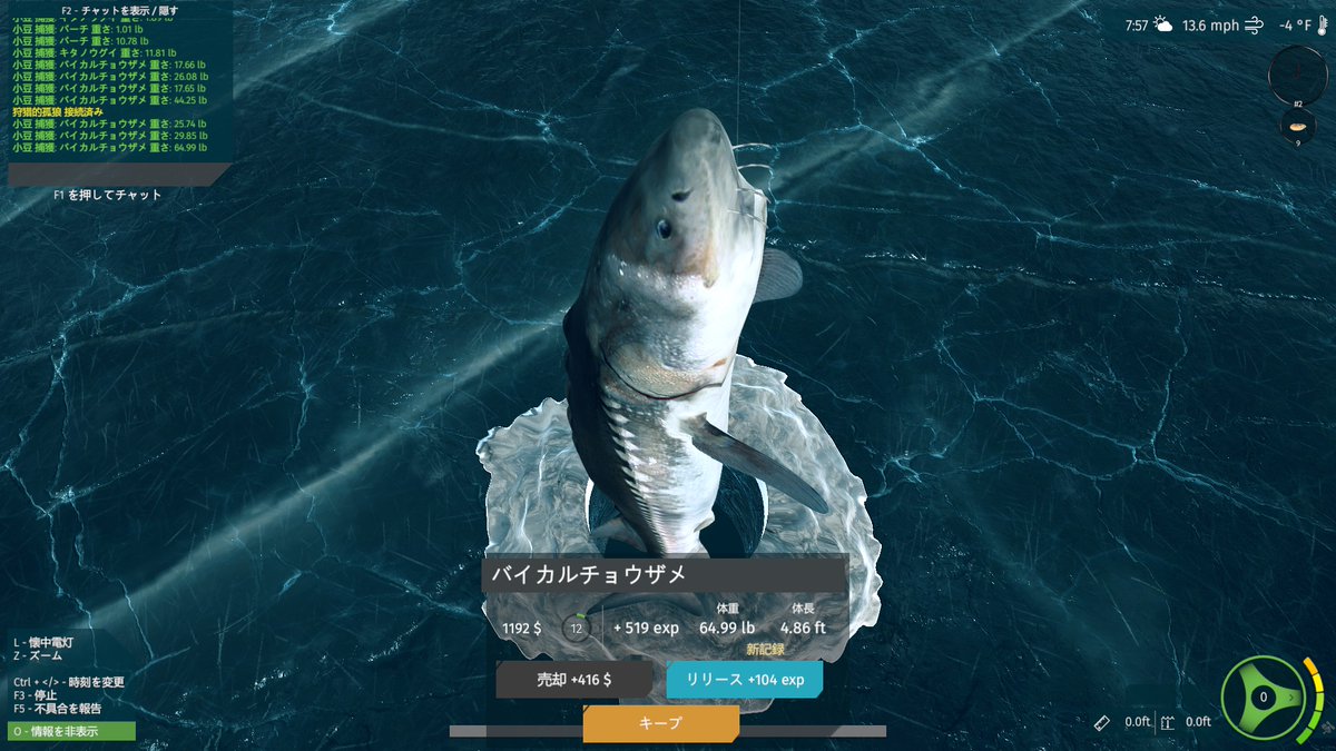 31adzuki's tweet photo. サメ釣りは楽しくていいゾ～(金策)　#究極の釣りシミュレータ #UltimateFishingSimulator #steam https://t.co/xV7Y2DgsDk