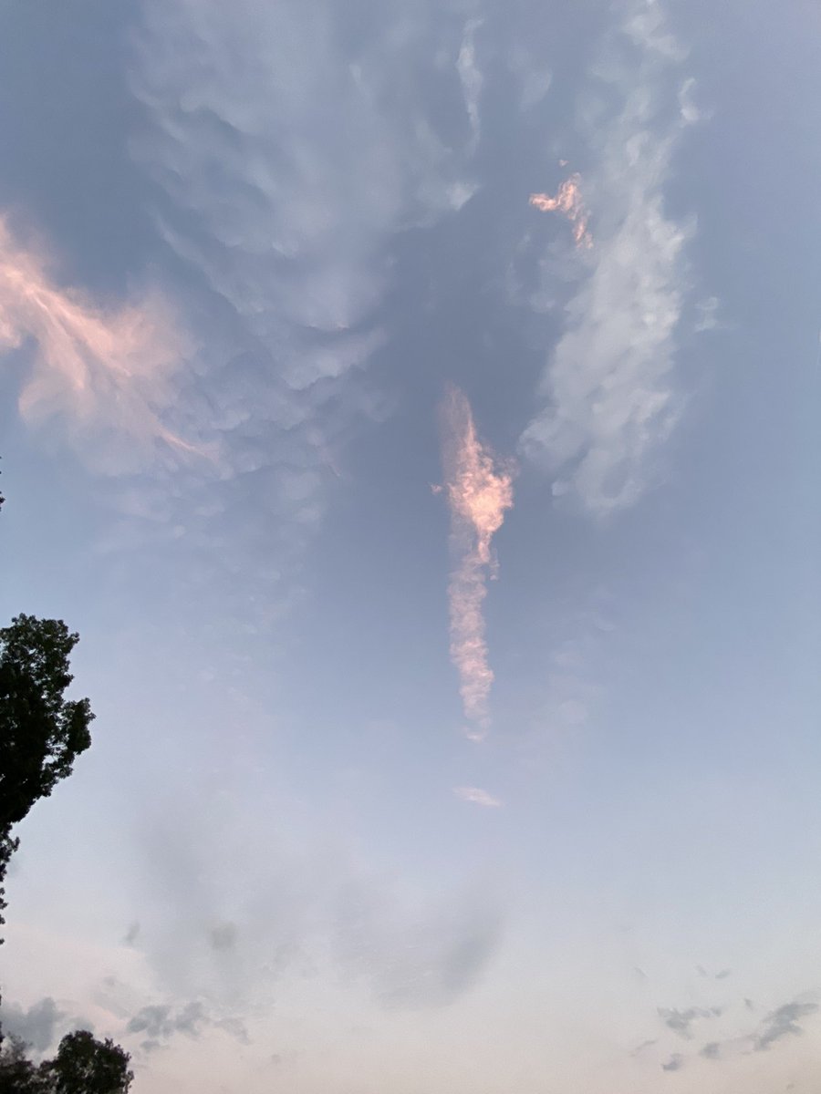 <a href="/SuePearFL/">Sue Pear</a> <a href="/LegendreKristy/">Kristy Legendre</a> <a href="/IonisedSkyWatch/">Alex M</a> <a href="/BenKnight1980/">Ben Skywatcher 🏴󠁧󠁢󠁥󠁮󠁧󠁿</a> <a href="/JayneJ07/">Jayne Jones</a> <a href="/nogps1/">nogps</a> <a href="/ImagesCoast/">Atlantic Coast Images</a> <a href="/b_gimpl1234/">BGimpl</a> <a href="/Undergotten/">CapN Undergotten</a> <a href="/DELTA9_DELTA9/">DELTA 9</a> <a href="/toobaffled/">“Sudden And Unexpected”</a> <a href="/LaShonLuv1/">LaShonLuv❤️</a> <a href="/rosesgrow1/">roses grow</a> <a href="/TooLateBlue/">TooLateBlue</a> <a href="/HermanHmechle/">herman mechle</a> <a href="/KostkaJim/">Jim Kostka</a> <a href="/harmonicLattice/">John Payne</a> <a href="/Gp1ggy1/">Guy P</a> <a href="/DorothySta46522/">Dorothy starcher</a>