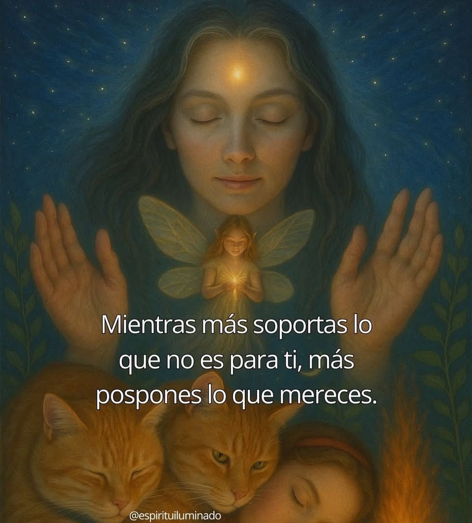 perrosolarr's tweet image. 