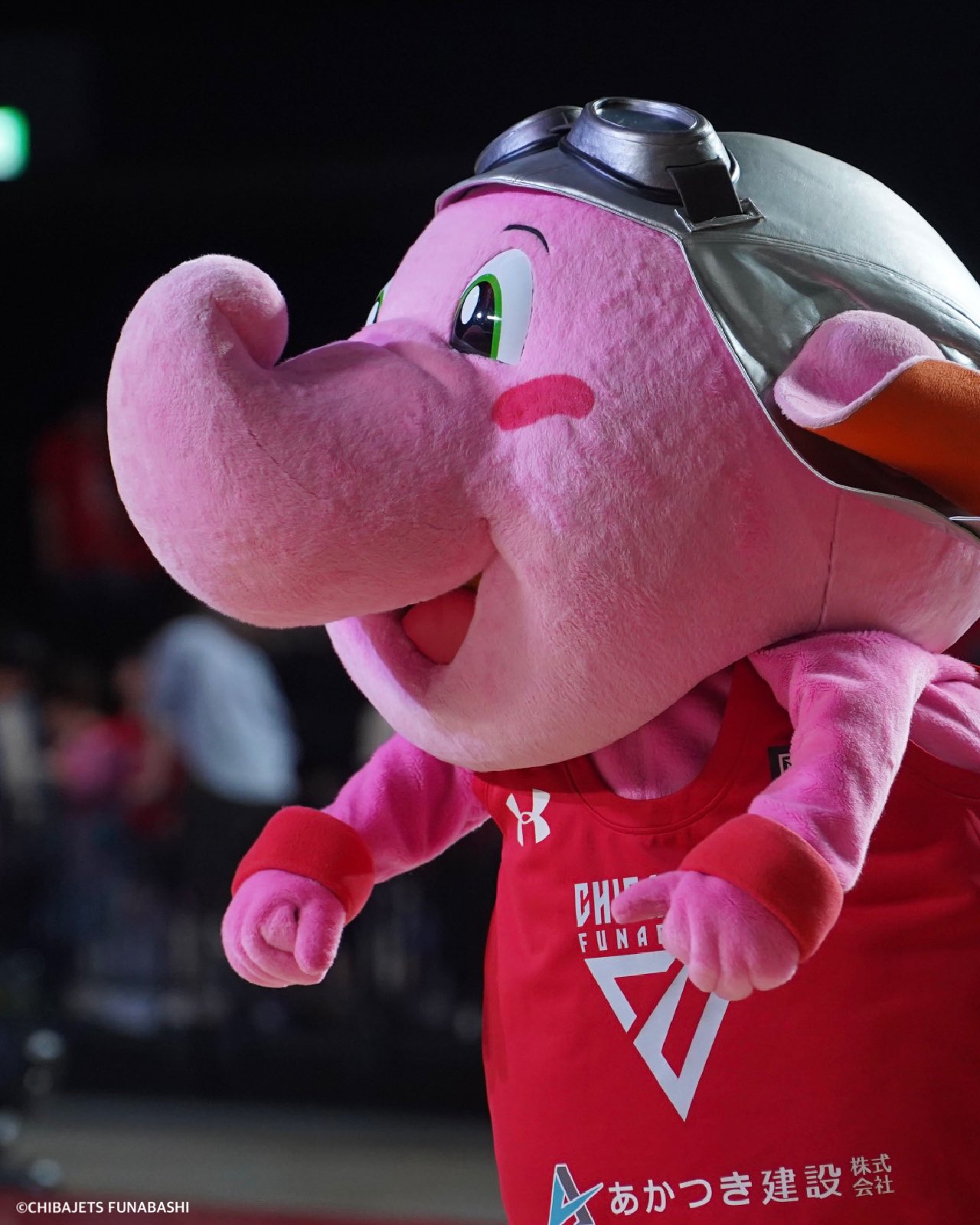 公式】ジャンボくん(千葉ジェッツふなばし) (@Jumbokun_GOJETS) / X