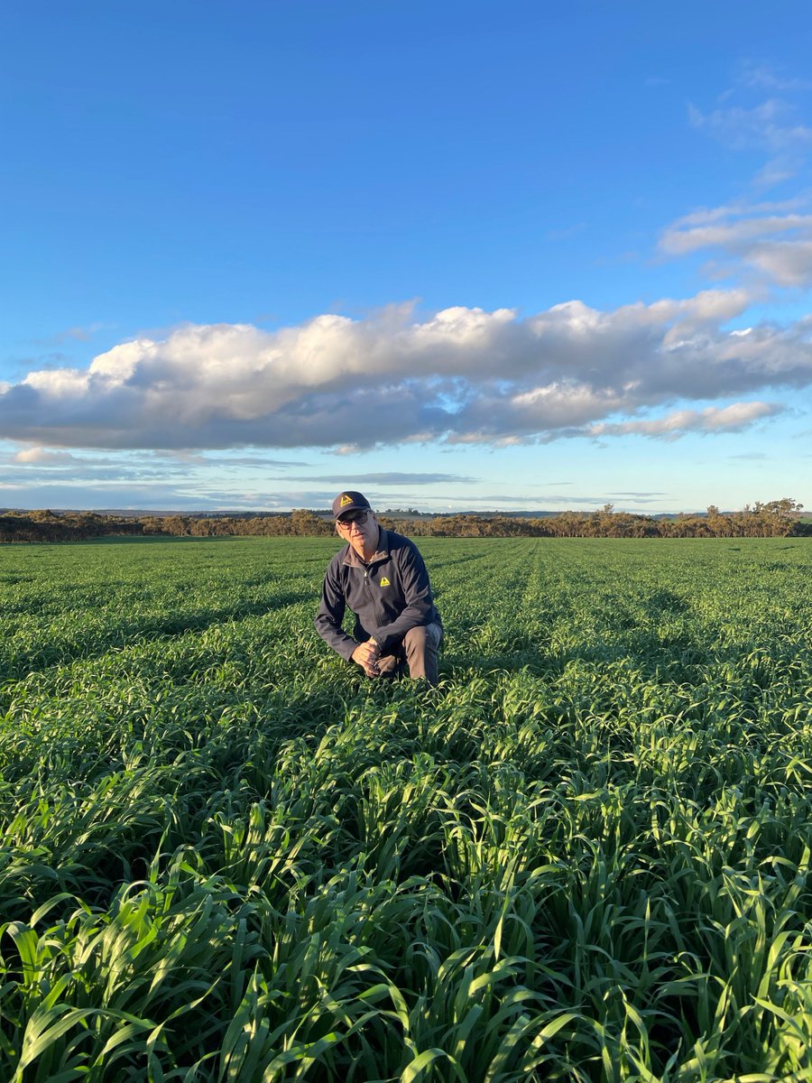 Missed out on catching up with the team at Dowerin? We'll be at Newdegate Machinery Field Days this week in the Dyson Jones Wool Shed! Make sure to swing by and catch up with the team to discuss your fertilizer plans for 2026.