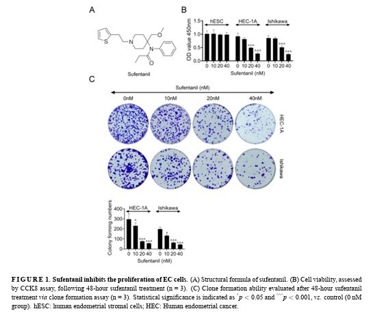 🩺Study: Sufentanil curbs endometrial cancer cell growth &amp; invasion by blocking PI3K/Akt/mTOR pathway. 
📚Read more:ejgo.net/articles/10.22…
 #EndometrialCancer #Oncology #Research