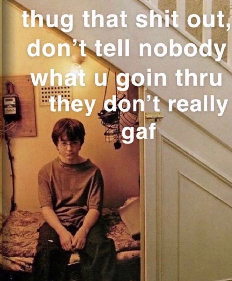 culture jpeg tweet media