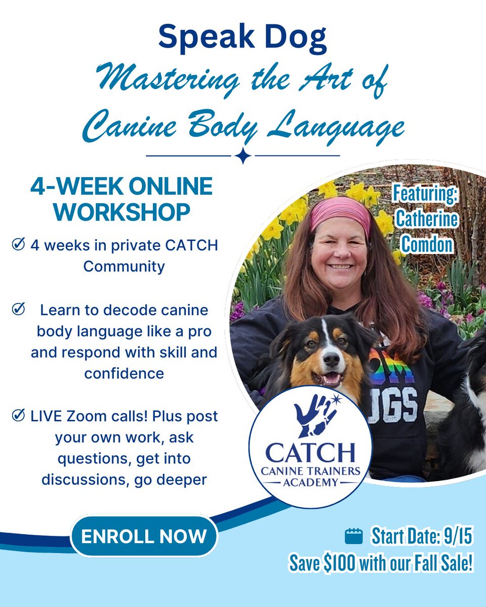 CATCHdogtrainer's tweet image. Learn to speak the language that dogs are using! Unless you know how to read their subtle signals, it’s easy to miss what they’re really saying.

Get more details here: catchcaninetrainersacademy.com/4-week-online-…
......
#CATCHCanineTrainersAcademy #DogTraining #DogTrainer #AnimalEducation #Workshop